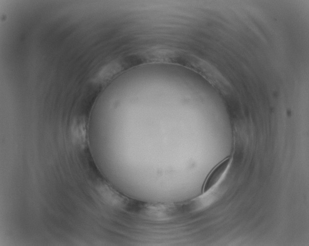 X0000051250190200506241556