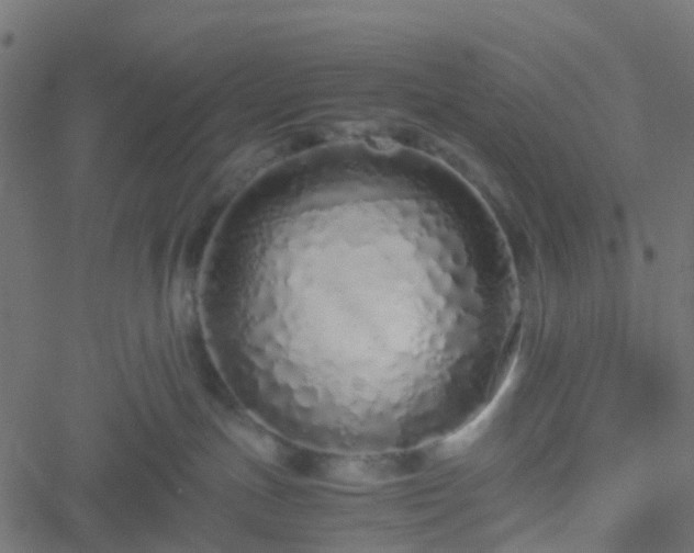 X0000051250191200506241556