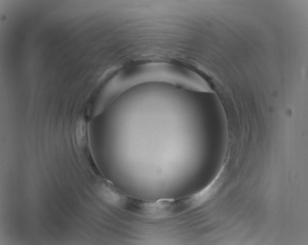 X0000051250192200506241556