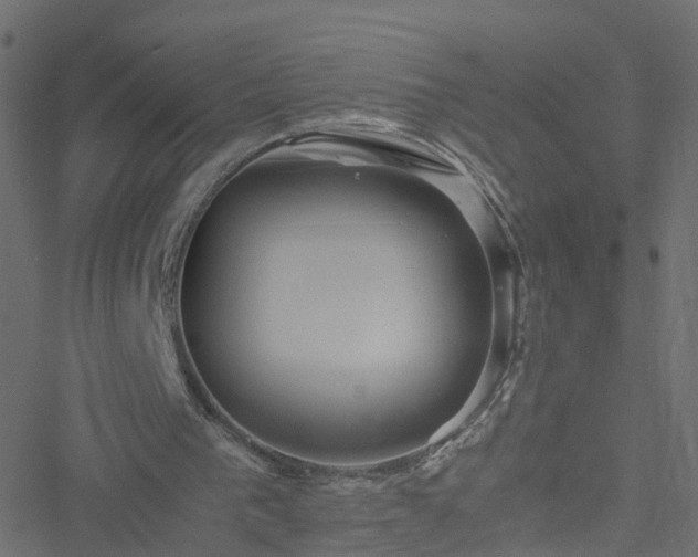 X0000051250193200506241555