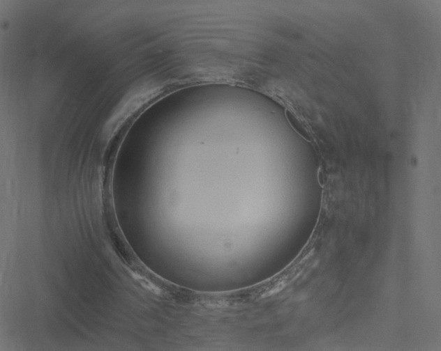 X0000051250194200506241555