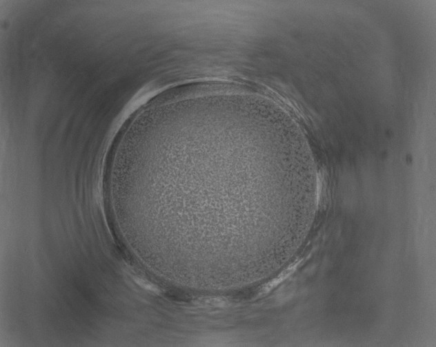 X0000051250195200506241555