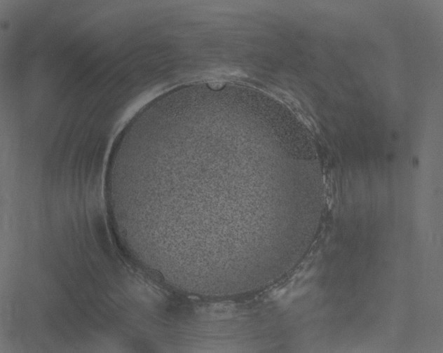 X0000051250196200506241555