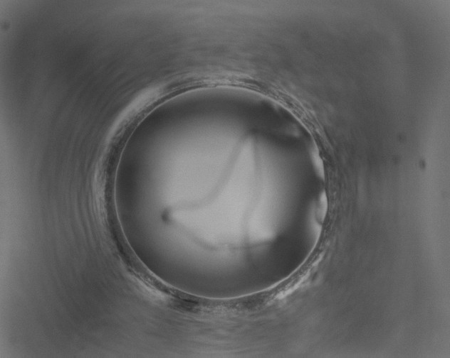 X0000051250197200506241555