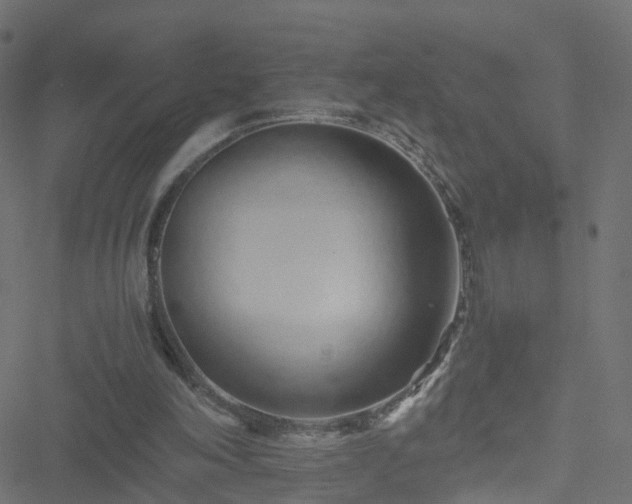 X0000051250198200506241555