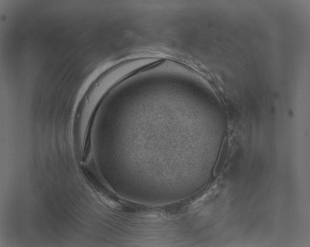 X0000051250200200506241555