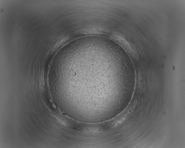 X0000051250202200506241555