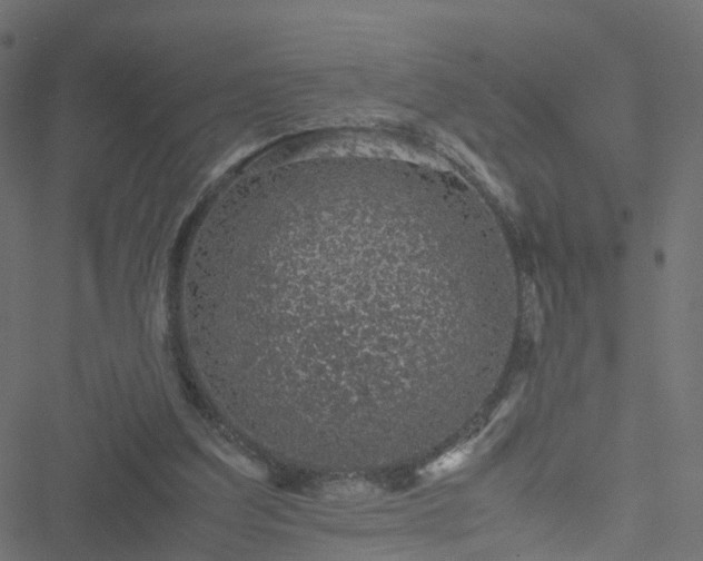 X0000051250203200506241555