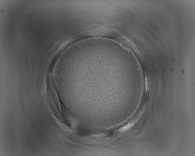 X0000051250205200506241555