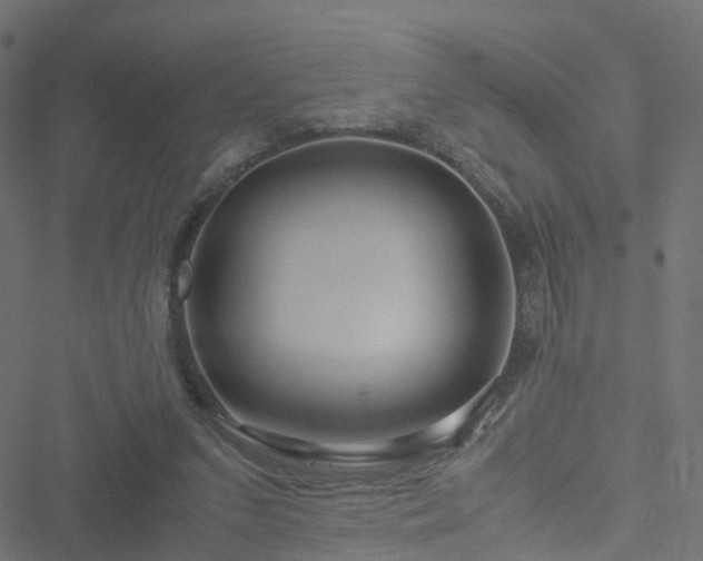 X0000051250207200506241555