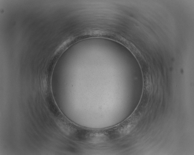 X0000051250208200506241555