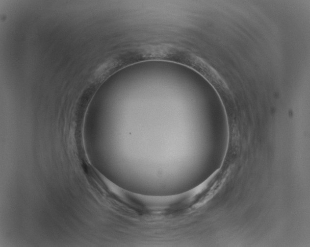 X0000051250209200506241555