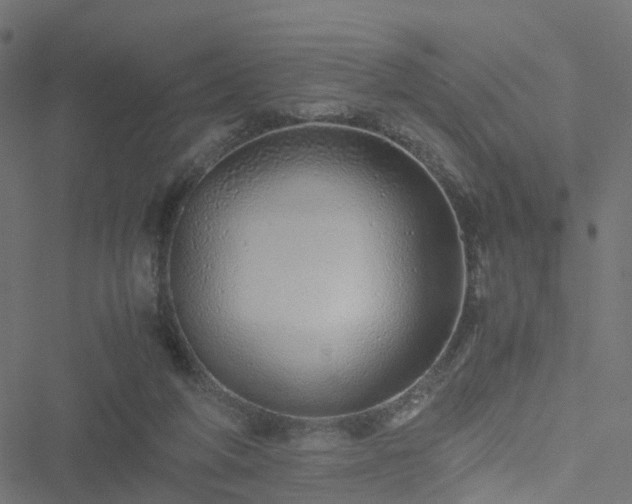 X0000051250210200506241555