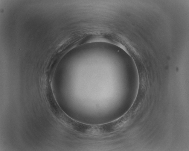 X0000051250211200506241555