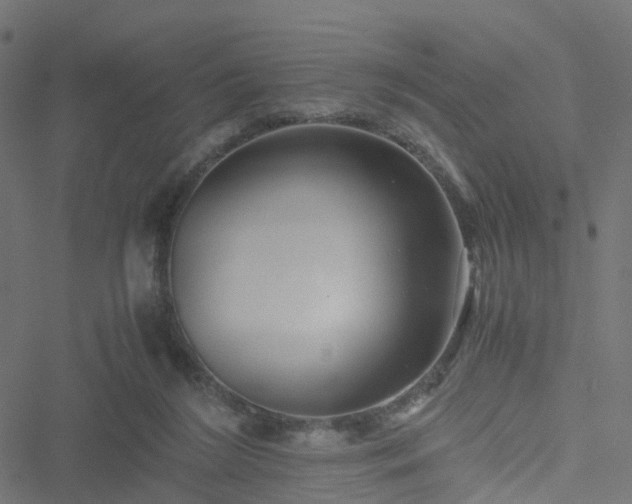 X0000051250212200506241555