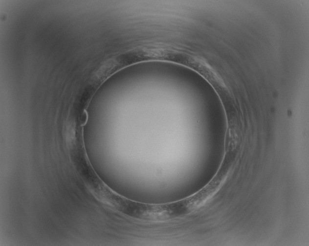 X0000051250213200506241555