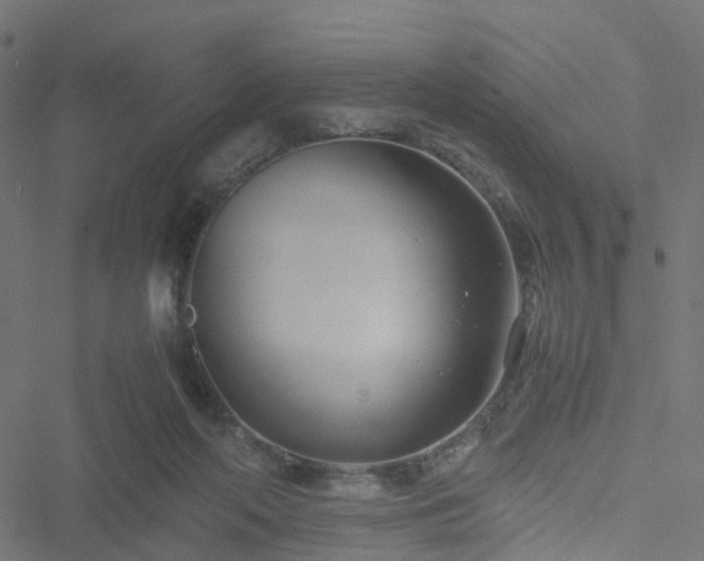 X0000051250214200506241555