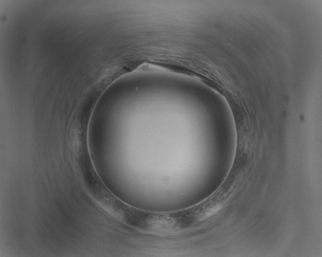 X0000051250215200506241555