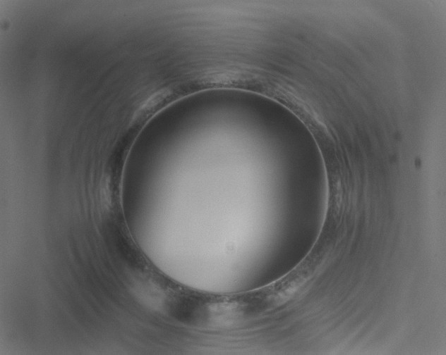 X0000051250216200506241555