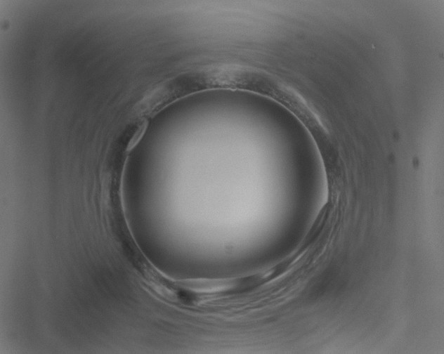 X0000051250217200506241555