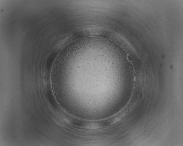 X0000051250218200506241555