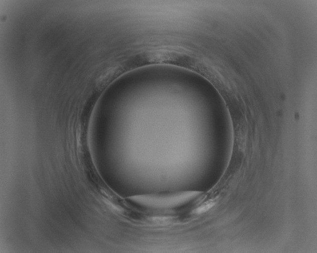 X0000051250219200506241555