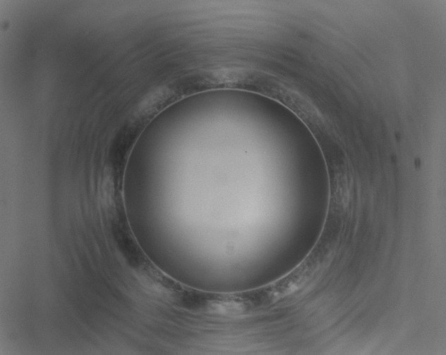 X0000051250220200506241555