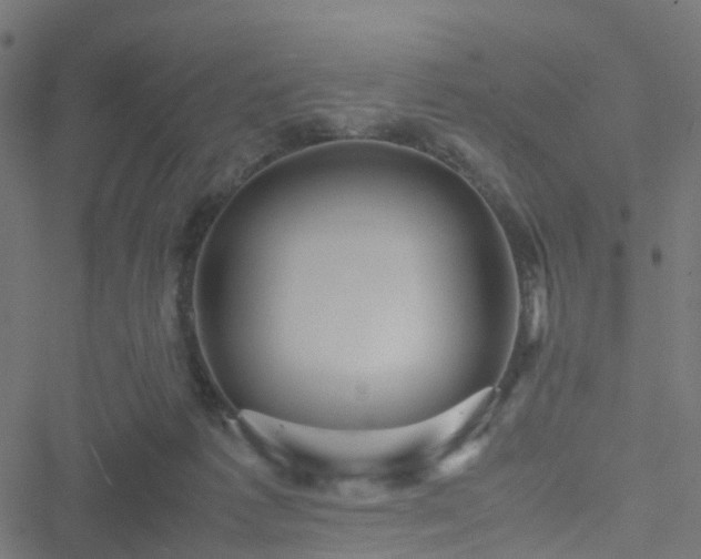 X0000051250221200506241555