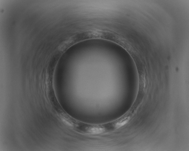 X0000051250223200506241555