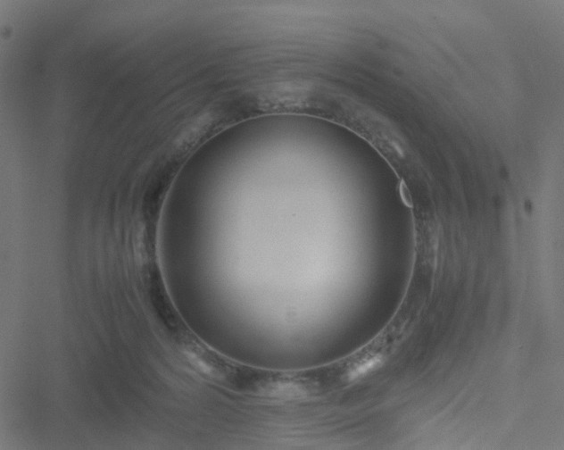 X0000051250224200506241555