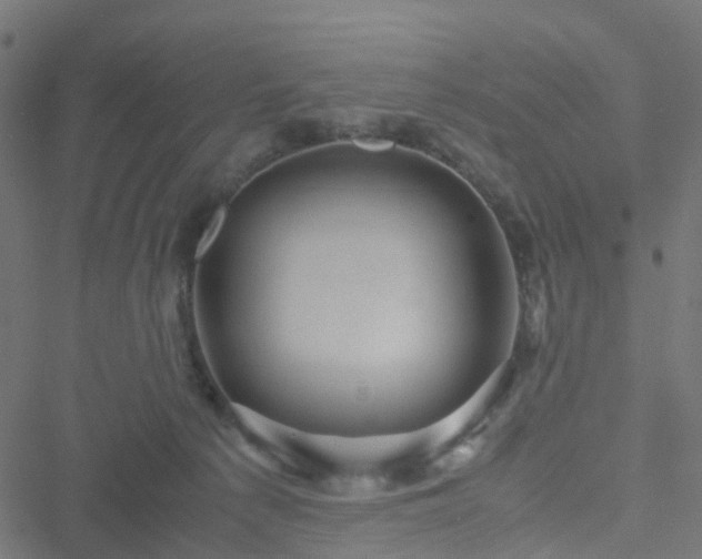 X0000051250225200506241555