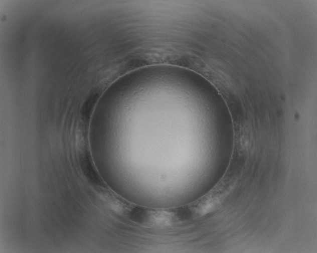 X0000051250226200506241555