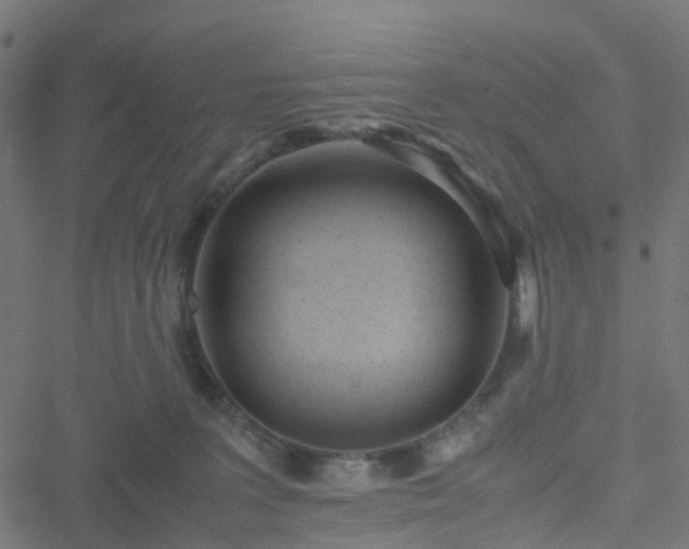 X0000051250227200506241555