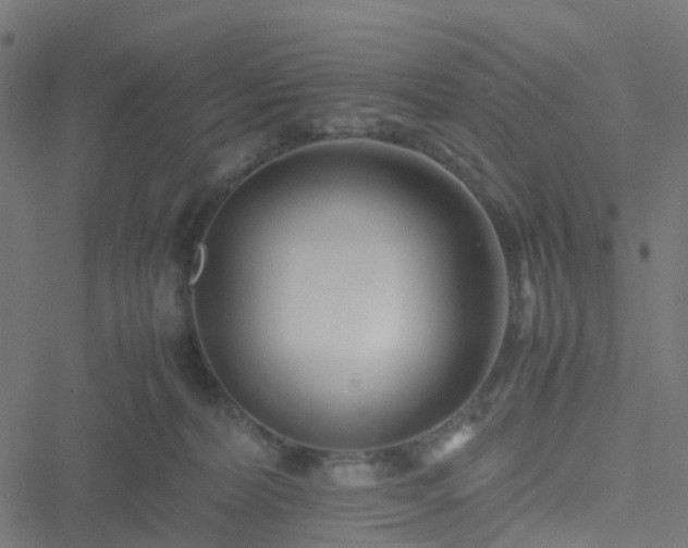 X0000051250228200506241555