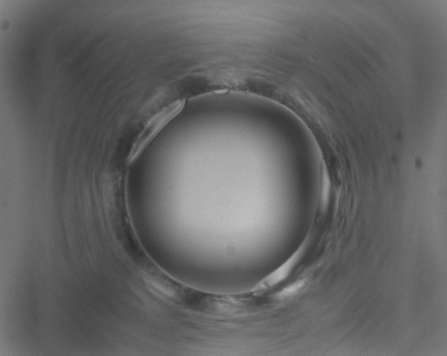 X0000051250229200506241554