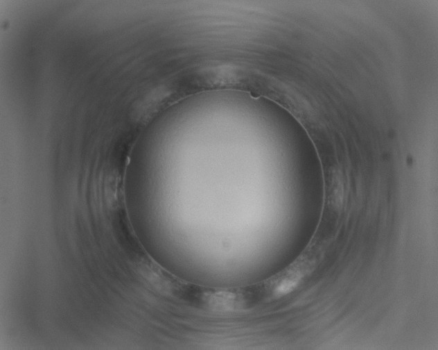 X0000051250230200506241554