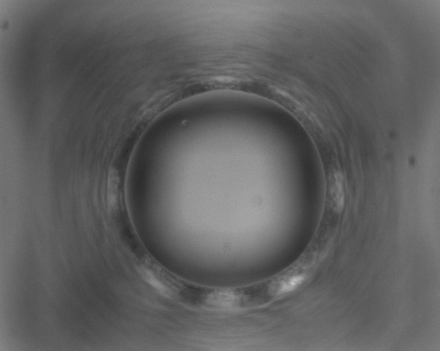 X0000051250231200506241554