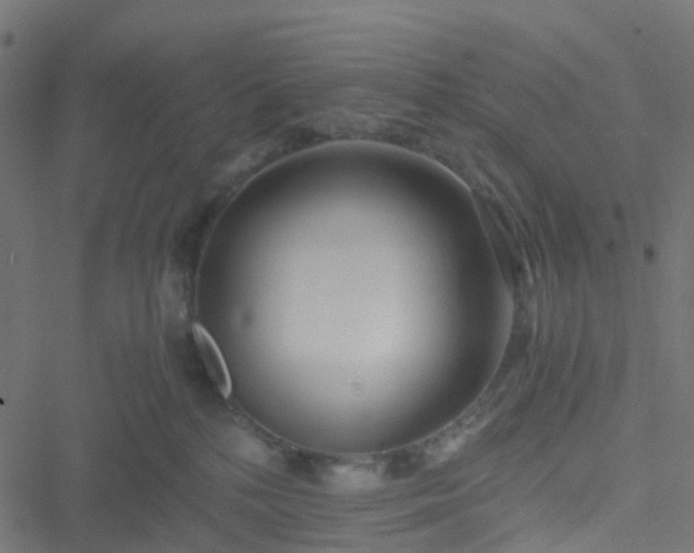 X0000051250232200506241554