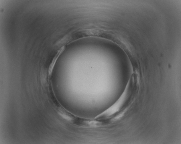 X0000051250233200506241554