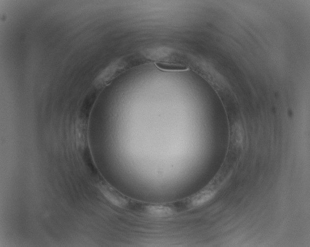 X0000051250234200506241554