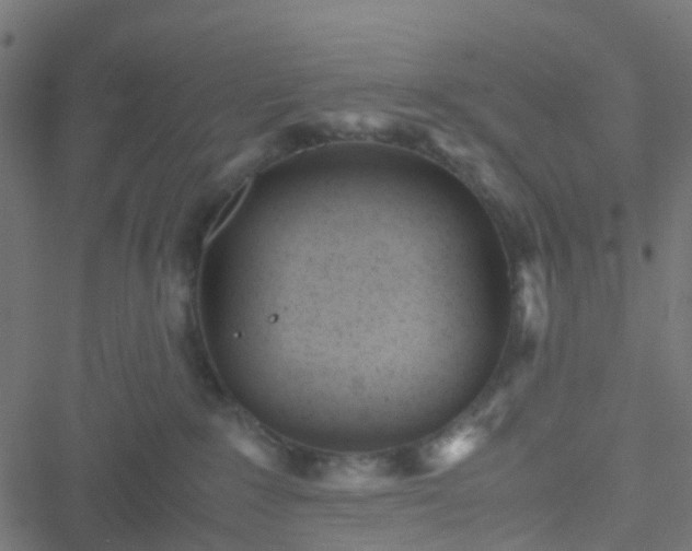 X0000051250235200506241554