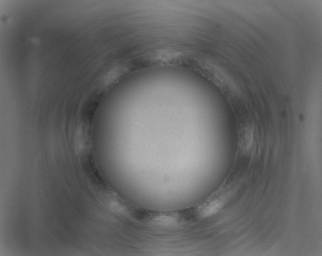 X0000051250236200506241554