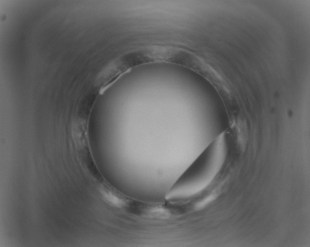 X0000051250237200506241554