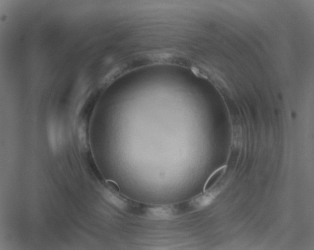 X0000051250238200506241554