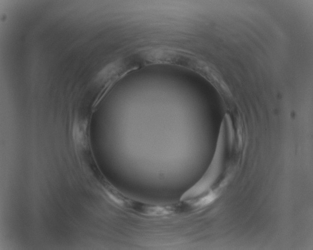 X0000051250239200506241554