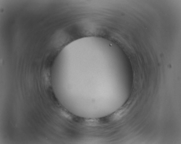 X0000051250240200506241554