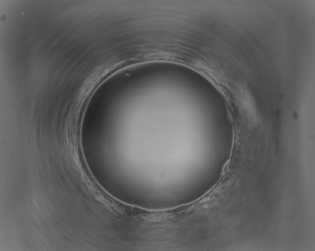 X0000051250241200506241554