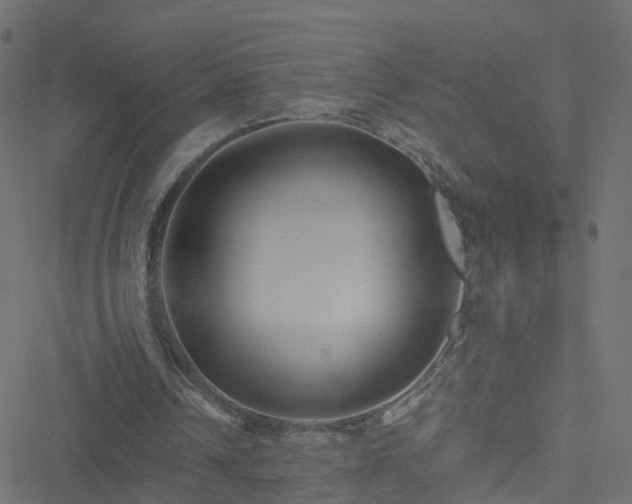 X0000051250242200506241554