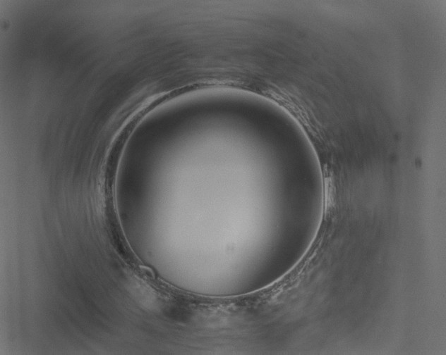 X0000051250243200506241554