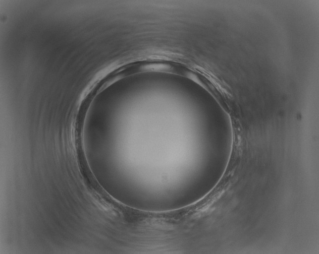 X0000051250244200506241554